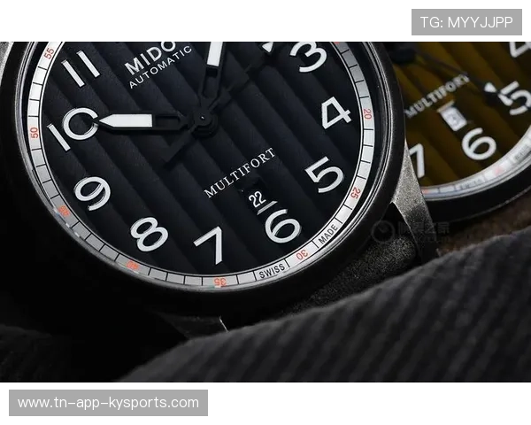 世界舵手锦标赛，东道主表现出色，不断冲击纪录，舵手百科